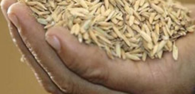 Аграрии Крыма собрали рекордный урожай зерна - Фото