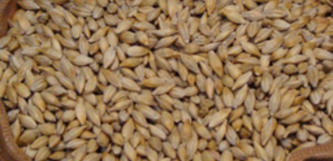 Рынок зерновых и масличных: цены и тенденции (26.08-01.09) - Фото