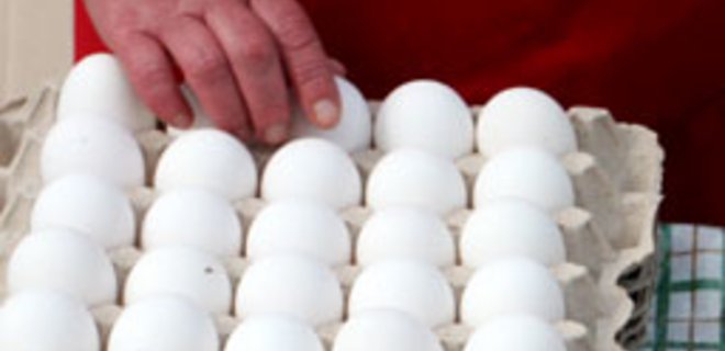 Сахар, яйца и молоко стали лидерами роста цен - Фото