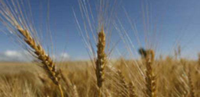 Рада продлила мораторий на продажу сельхозземель до 2012 года - Фото
