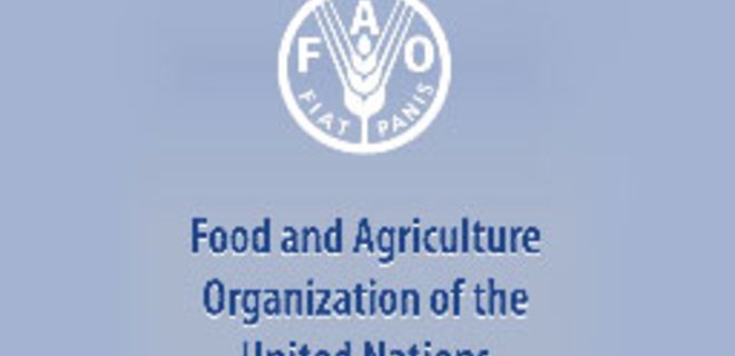 FAO: Повторения продовольственного кризиса не будет - Фото
