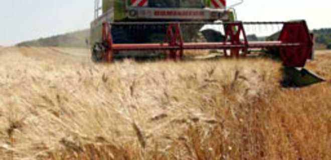 Цены на зерновые продолжат снижаться: мнение эксперта - Фото