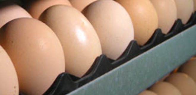 Выпуск яиц с начала года увеличился более чем на 5% - Фото