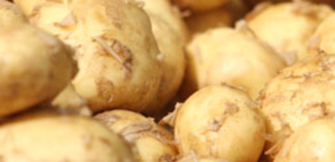 Дефицит картофеля в Украине отменяется - Фото