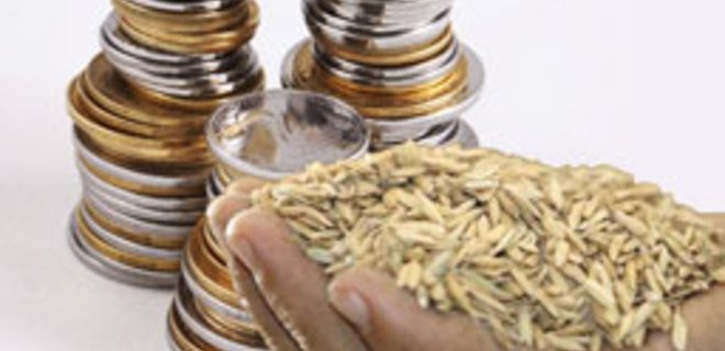 Рынок зерновых и масличных: цены и тенденции (1-7.12) - Фото