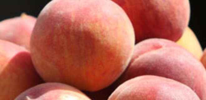 Таможня пресекла ввоз 39 тонн персиков и груш с заниженной стоимостью - Фото