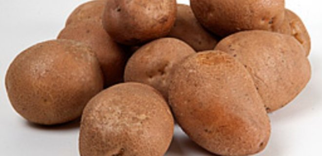 Кабмин поставит производство картофеля на промышленную основу - Фото