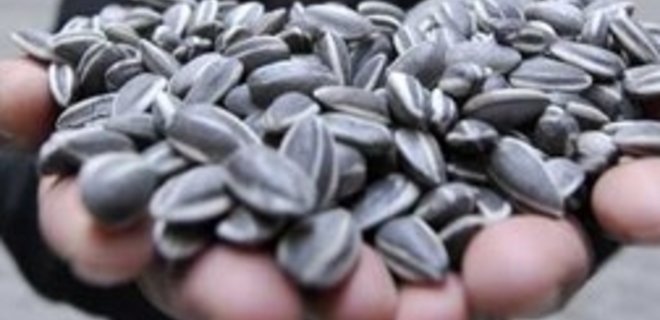 АМКУ пресек нечестную конкуренцию на рынке семян подсолнечника - Фото