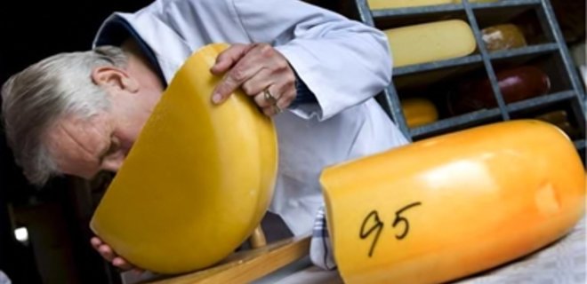 Украинский сыр проверяют на фальсификат - Фото
