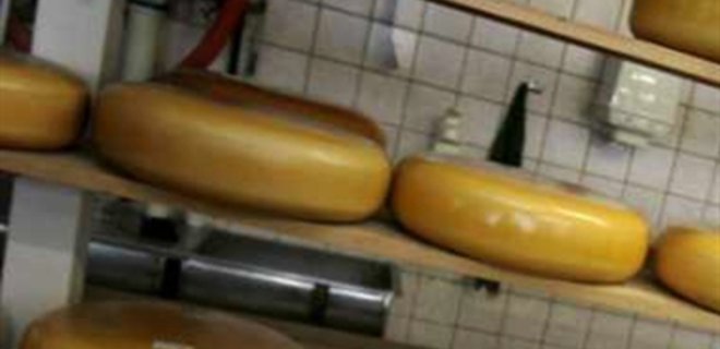 Россия запретила ввоз более 100 тонн украинского сыра - Фото