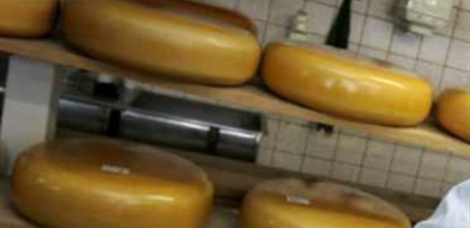 Украинские сыроделы переориентируются на другие виды продукции - Фото