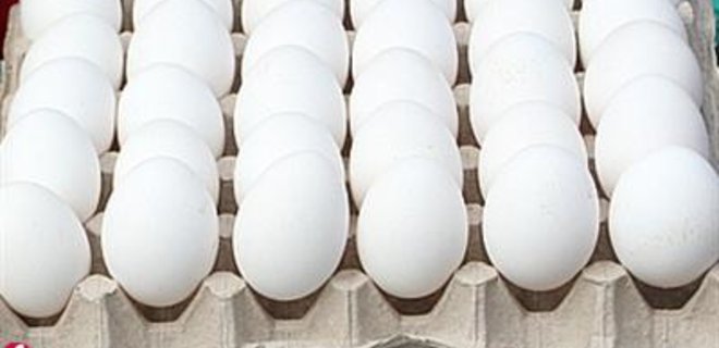 Производители яиц снизили цены - Фото