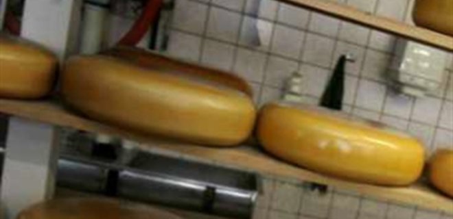 Фальфисицировать сыр производителям невыгодно, - Госветфитослужба - Фото