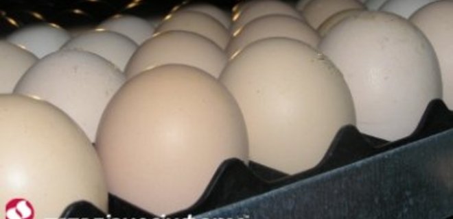 АМКУ вновь проверит производителей яиц - Фото