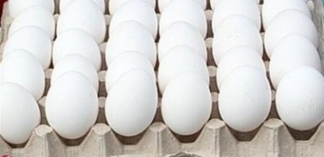 В Европе возник дефицит яиц - Фото