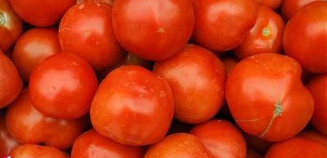 Цены на помидоры могут сильно снизиться  - Фото