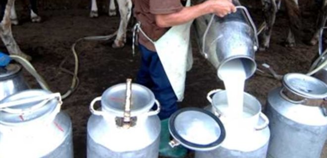 Названы причины снижения производства молока в Украине - Фото
