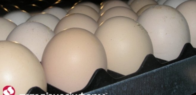 Цены на яйца пошли на спад - Фото