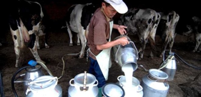 Минагропрод повысил план по выпуску зерна, но снизил - по молоку - Фото