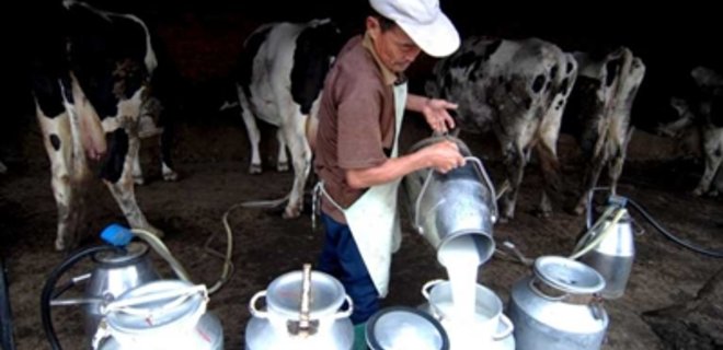 Переработчики указали на недостатки проекта по закупкам молока - Фото