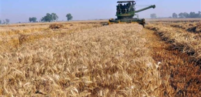 В Украине собрано 7 млн. тонн зерна - Фото