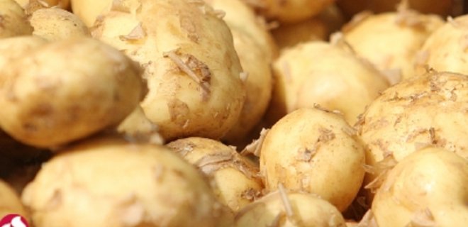 Эксперты исключают дефицит картофеля в этом году - Фото