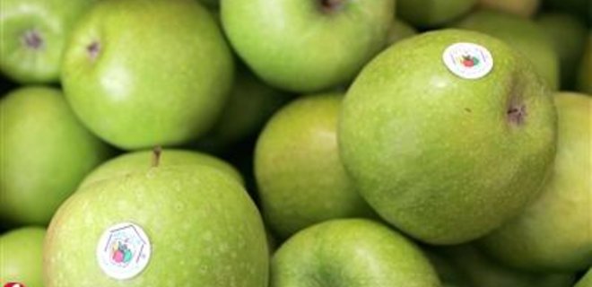 Производители яблок могут потерять 950 млн. грн. - Фото