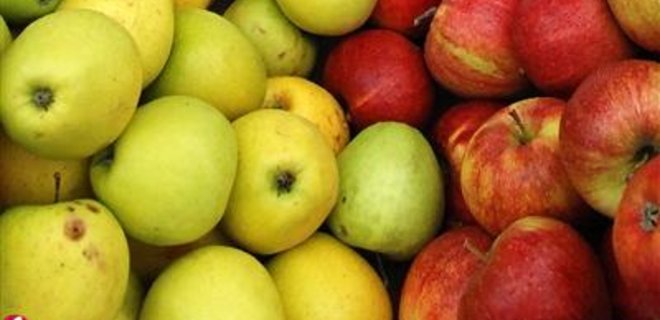 Россия после вступления в ВТО снизит пошлины на импорт яблок - Фото