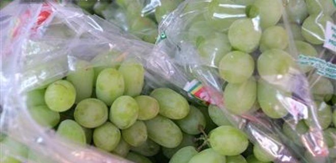 Урожай винограда в Украине сократится на 10-15% - Фото