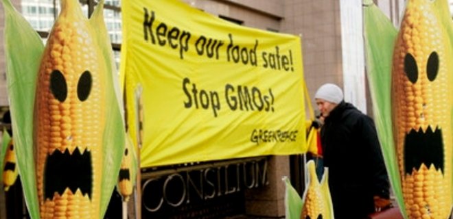 В Украине начались масштабные проверки на наличие ГМО в зерновых - Фото