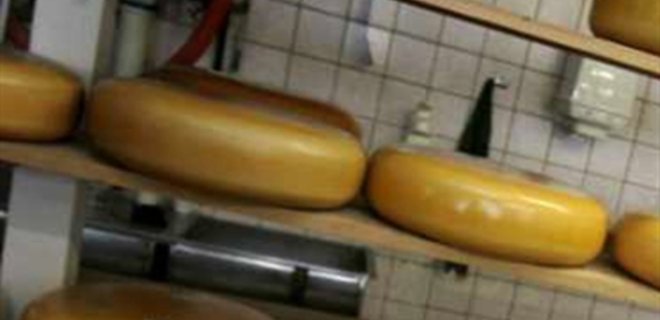 Украина восстановила объемы поставок сыра в Россию - Фото