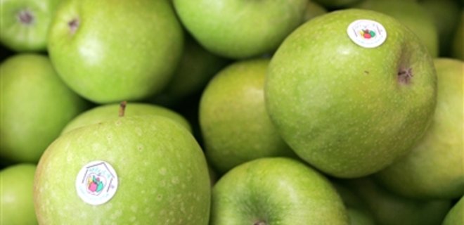Экспорт яблок из Украины идет на рекорд - Фото