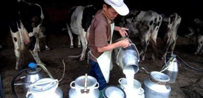 Кабмин хочет спасти молочников с помощью меморандума - Фото