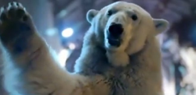 Медведь против Льва. Анализ реакции зрителей на рекламу пива - Фото