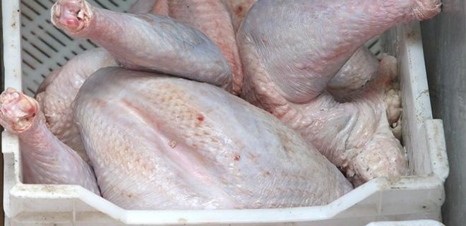 Украинскую курятину перепроверят для поставок в Казахстан - Фото