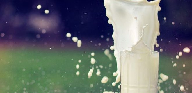 Слишком много молока: цены на сырье снижаются - Фото