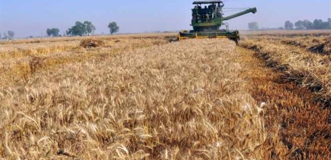 Прогноз экспорта зерна из Украины повышен - Фото