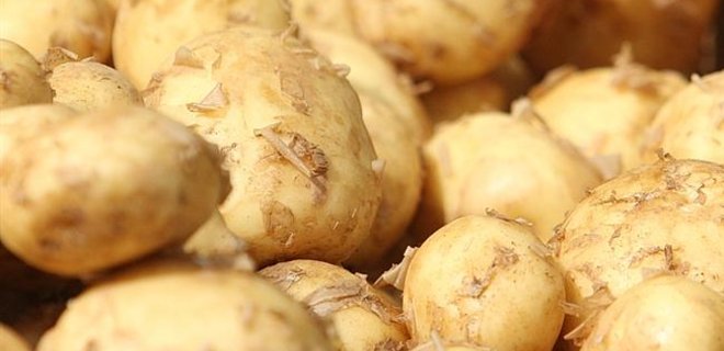 Россия забраковала украинский картофель - Фото