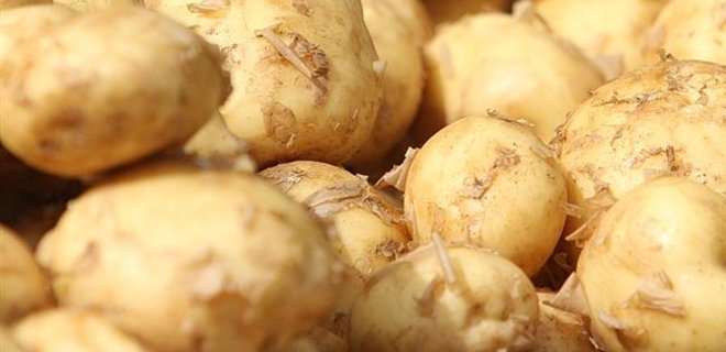 Россия запретила ввоз украинского картофеля - Фото