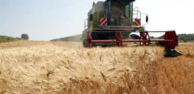 Крымские аграрии столкнулись с проблемой продажи зерна - Фото