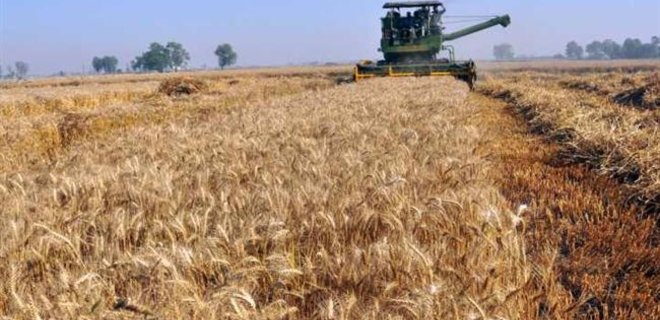 Украина увеличила экспорт зерна на 42%  - Фото