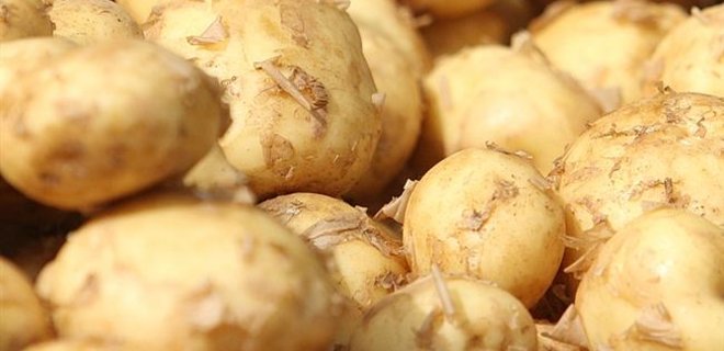 Беларусь сняла запрет на импорт украинского картофеля - Фото
