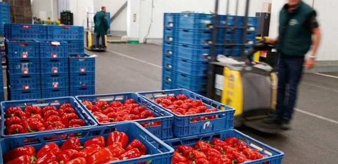 ЕК представила новый план поддержки производителей овощей - Фото