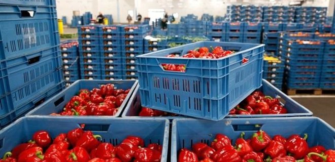 Украина нарастила экспорт и сократила импорт агропродукции в ЕС - Фото