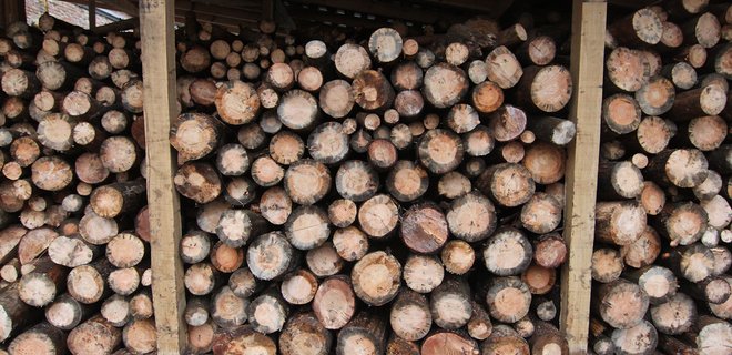 ДроваЄ. Заработал государственный интернет-магазин дров для населения - Фото