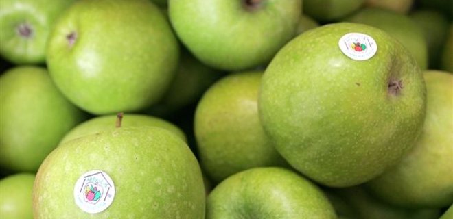 Россия запретила ввоз 20 тонн польских яблок - Фото