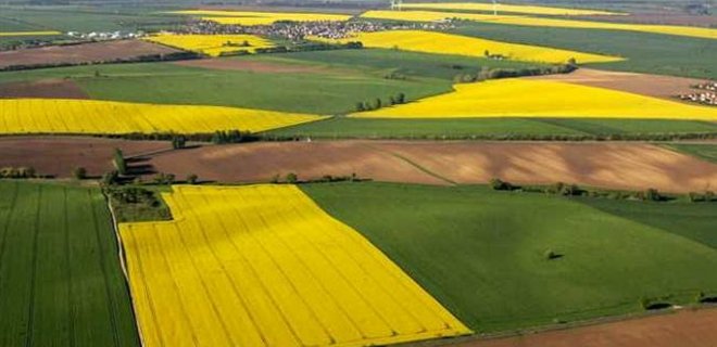 Украина будет развивать отрасль аграрной органической продукции - Фото