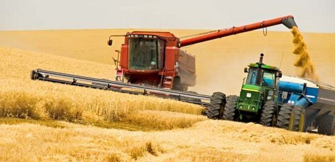 Без рекордов: Сколько заработает Украина на грядущем урожае - Фото