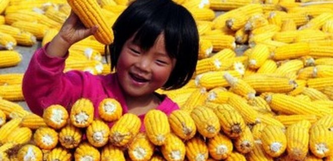 На тонне отправленной в Китай кукурузы фермеры заработали $10-20  - Фото