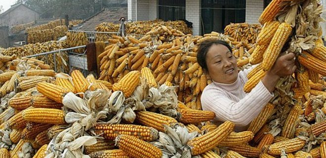 Спрос на украинскую кукурузу в Китае падает - глава ГПЗКУ - Фото